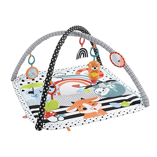 Fisher-Price HBP41 - Tierfreunde Kontrast-Spieldecke für Babys zum Spielen in der Bauchlage und für unterwegs, Babyspielzeug ab der Geburt