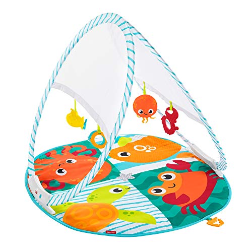 Fisher-Price FXC15 Fisher-Price FXC15 Faltbare Meeres-Spieldecke, mehrfarbig